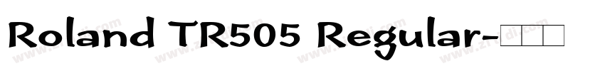 Roland TR505 Regular字体转换
